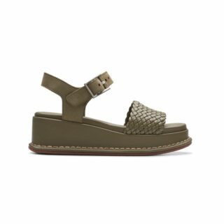 Kimmei Bay Olive, D, 3+