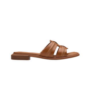 Ariany Mule Tan Leather