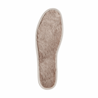 Insole