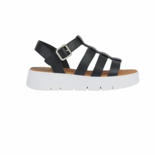 D DANDRA 40 B - VIT.SINT.