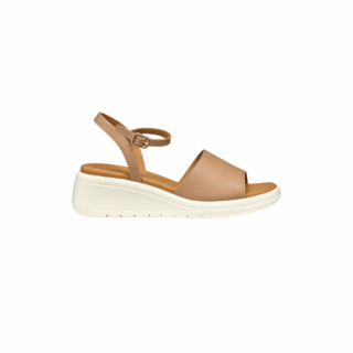 D MELICONIA A - VIT.SINT.