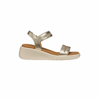 D MELICONIA E - SIN.MET+TES.GL