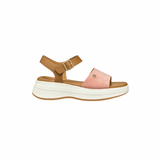 D SPHERICA ECUB-3 S A - SCA+SI