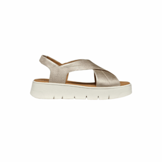 D DANDRA 40 A - SINT.BOTT.PERL