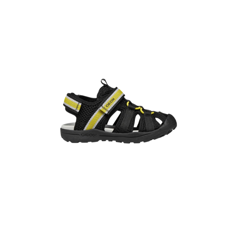 VANIETT - GEOX - Scarpe.am