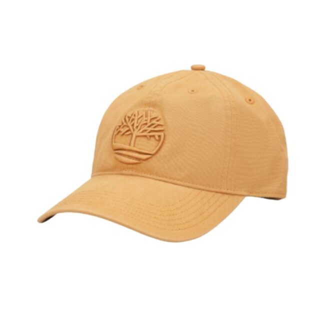 Soundview Baseball Cap for Men in Wheat